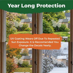 Butterfly bird-safe window decals shown through spring, summer, fall, and winter with a reminder to replace them yearly.