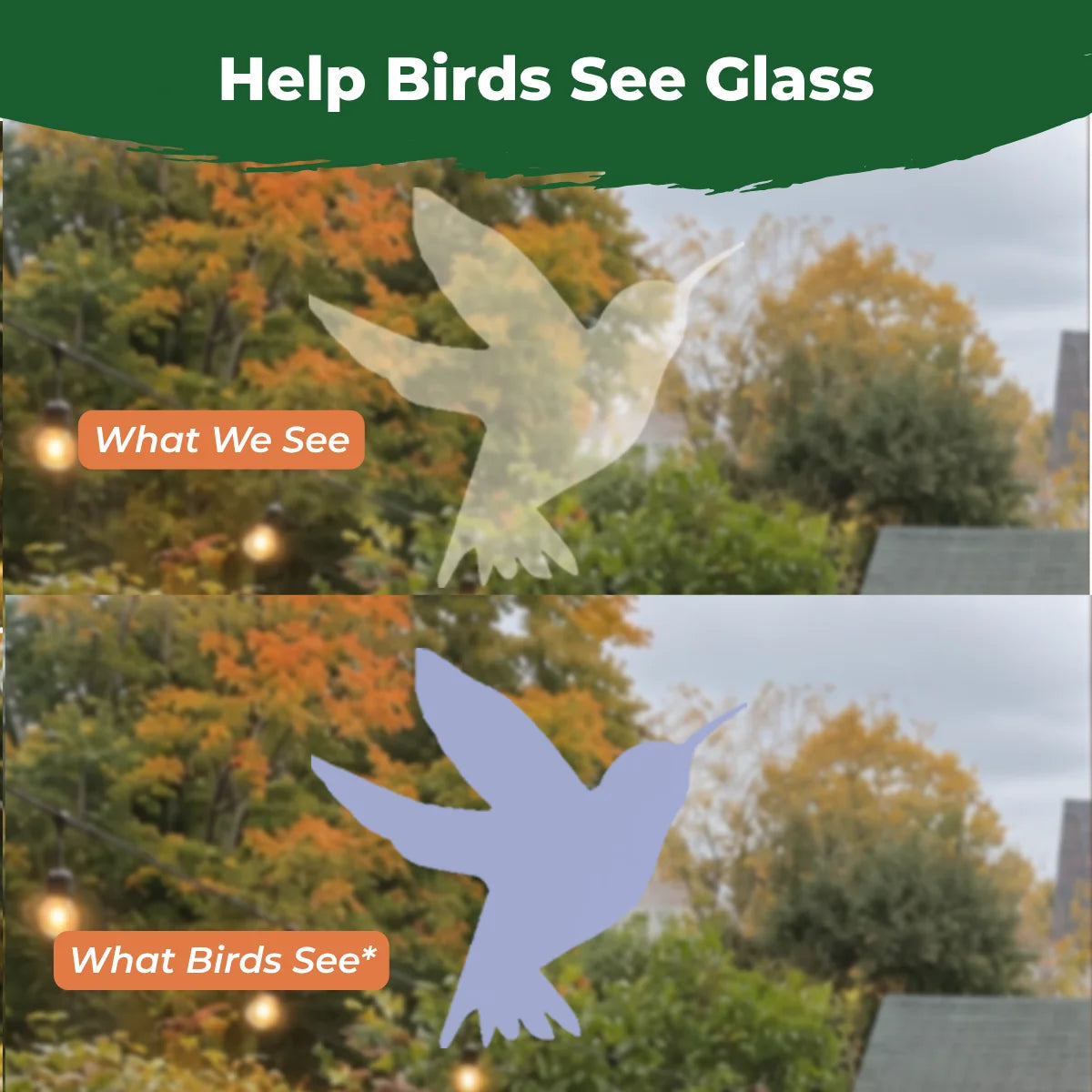 Comparison showing how a translucent hummingbird window decal appears subtle to people but more visible to birds.