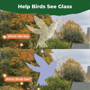 Comparison showing how a translucent hummingbird window decal appears subtle to people but more visible to birds.