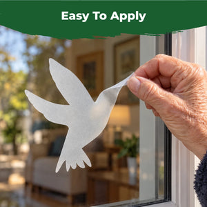 Close-up of a hand applying a translucent hummingbird bird-safe decal to the outside of a window.
