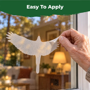 Close-up of a hand applying a translucent hawk bird-safe decal to the outside of a window.