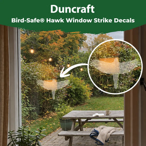 Duncraft Bird-Safe hawk window strike decal displayed on a window with a close-up showing its translucent design.