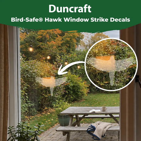 Duncraft Bird-Safe hawk window strike decal displayed on a window with a close-up showing its translucent design.