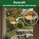Duncraft Bird-Safe hawk window strike decal displayed on a window with a close-up showing its translucent design.