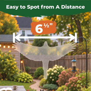 Translucent 6.5-inch hawk window decal applied to glass with a backyard visible outside.