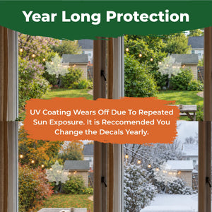Maple leaf bird-safe window decals shown through spring, summer, fall, and winter, with a reminder to replace decals yearly as the UV coating wears.