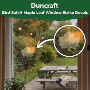 Duncraft Bird-Safe maple leaf window strike decal displayed on a window with a close-up showing its translucent appearance.