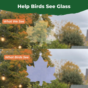 Comparison showing how the translucent maple leaf window decal appears subtle to people but more visible to birds.
