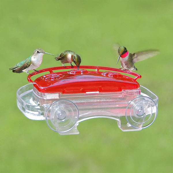 Aspects Jewel Box Window Hummingbird Feeder | Duncraft