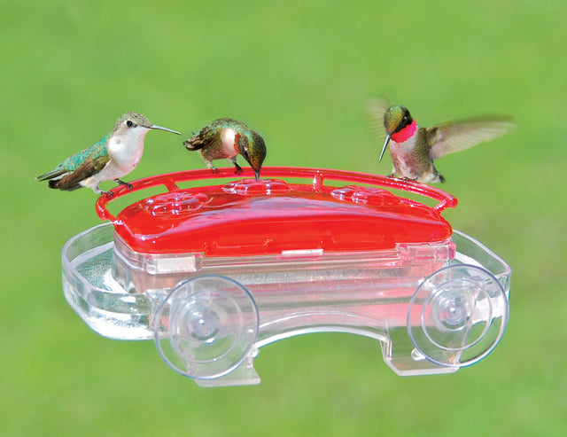 Aspects Jewel Box Hummingbird Feeder with multiple hummingbirds feeding at three raised ports on a transparent container attached to a window.