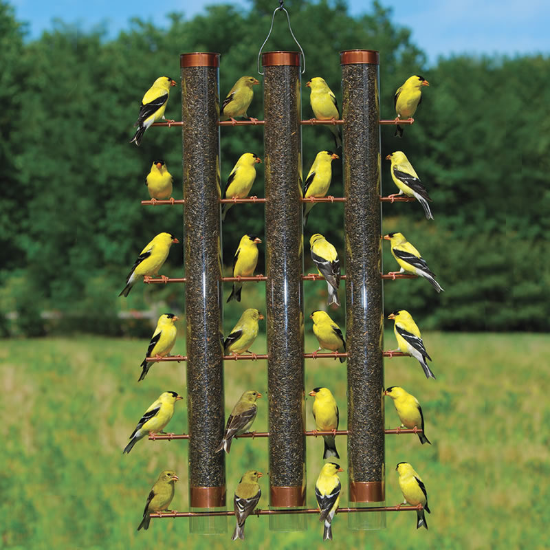 Three-Tube Copper Nyjer® Feeder with multiple goldfinches feeding, featuring 36 ports and three clear seed tubes for easy viewing and cleaning.