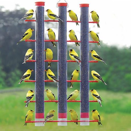 Finch's Favorite 3-Tube Feeder with 24 feeding stations, showing multiple yellow finches feeding on red perches attached to clear plastic seed tubes.