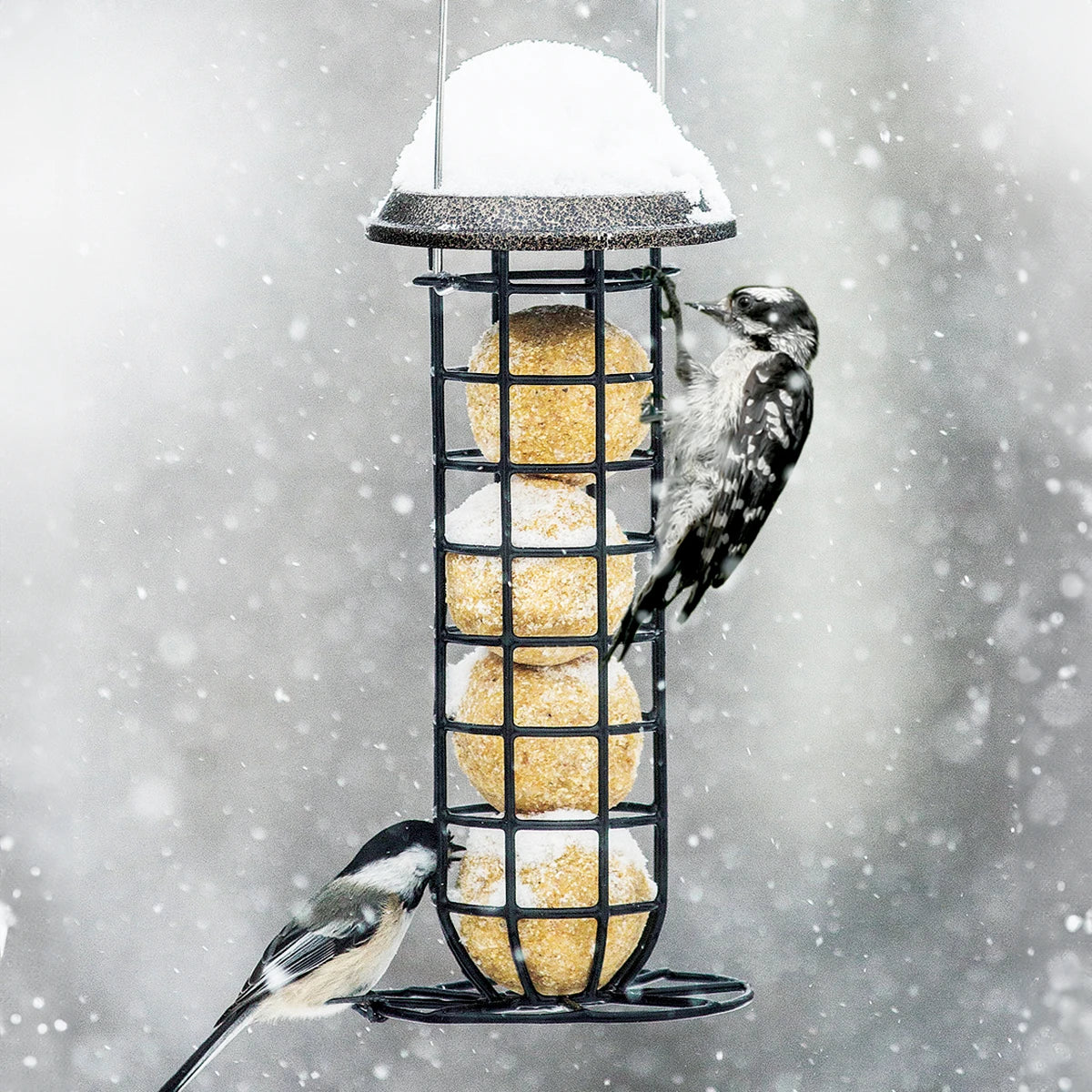 Clinger Suet & Seed Ball Feeder with birds perched, showcasing its ample clinging space and antique copper lift-up roof for easy suet or seed ball filling.