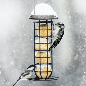 Clinger Suet & Seed Ball Feeder