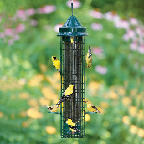 Brome Squirrel Buster Finch Feeder with yellow finches feeding, featuring weight-sensitive mesh to prevent squirrel access. Holds 2-1/4 lbs. Nyjer® seed.