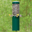 Classic Feeder with Pole & Baffle featuring four birds feeding at aluminum ports on a tall pole with built-in baffle, designed to deter squirrels.