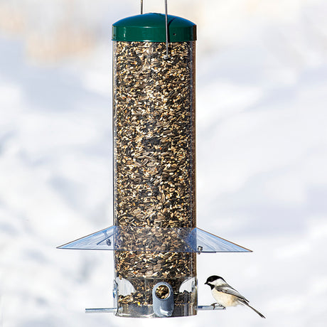 Large Classic Hanging Feeder with clear plastic baffle, four feeding ports, and a green metal top, holding a perched bird.