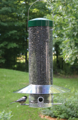 Large Classic Hanging Feeder with bird perched on it; features clear baffle and four feeding ports, designed to shelter birds and deter squirrels.