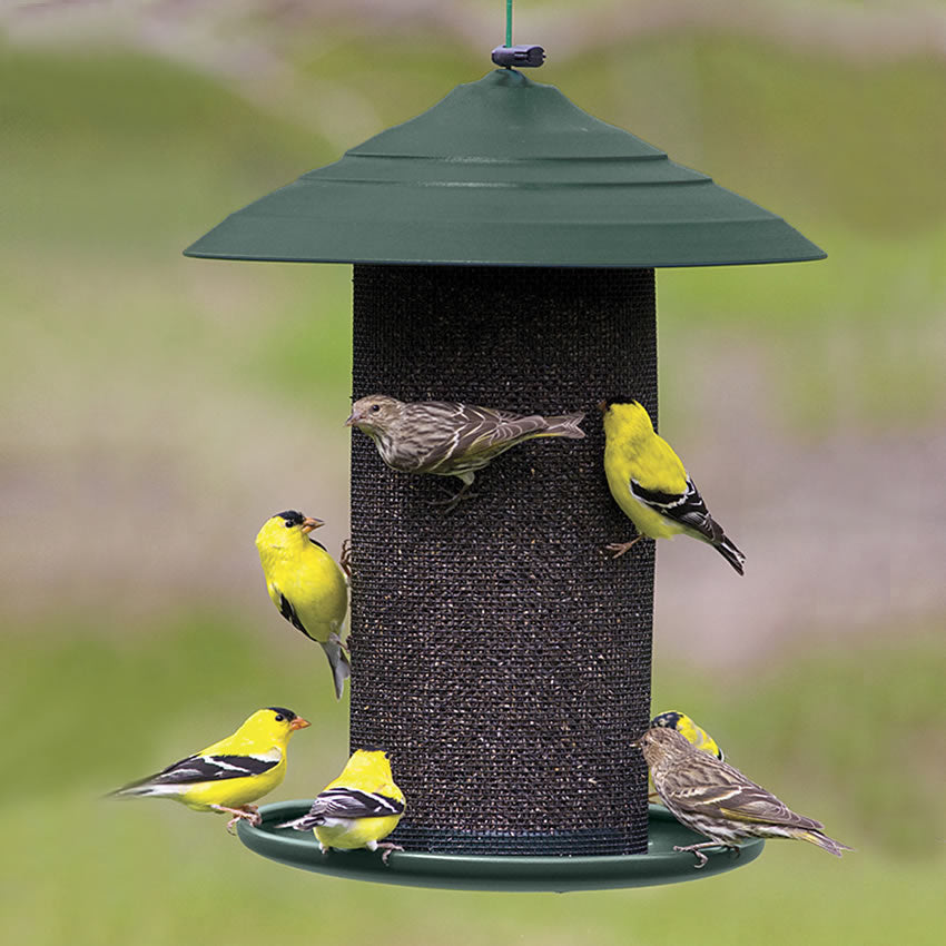 All Steel Magnum Nyjer® Feeder with birds clinging to the mesh, feeding tray visible, and metal hanging cable attached.