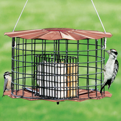 Copper Squirrel Proof Suet Feeder with two birds feeding within its metal cage, featuring a durable roof and 1-1/2 inch wire openings to deter squirrels.