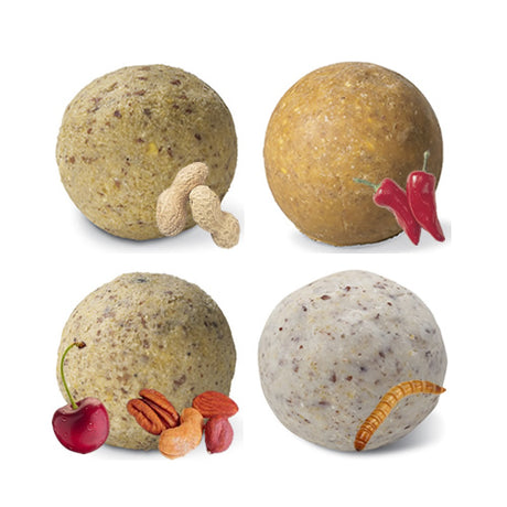 Suet Ball Sampler (Set of 16) showing close-up of various suet balls with nuts, insects, and red peppers, designed to attract birds.