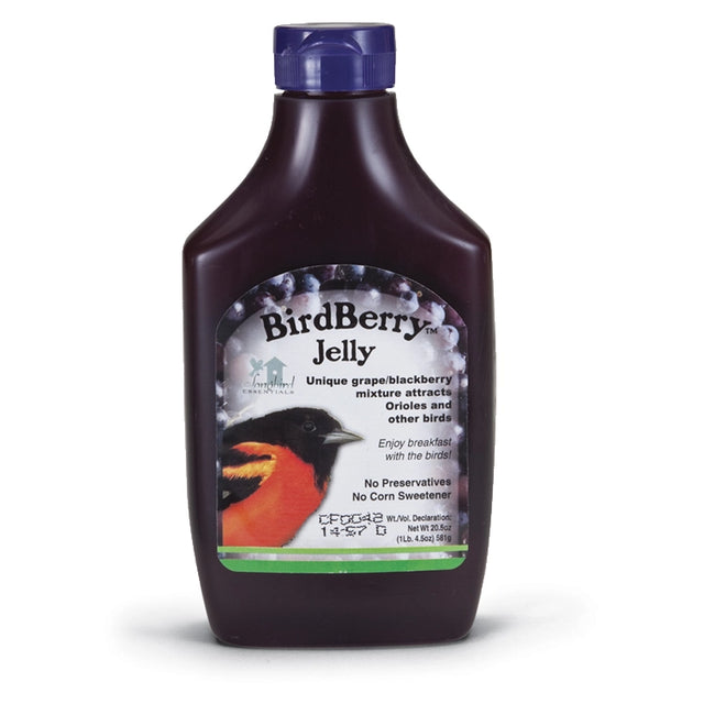 BirdBerry Jelly in a glass squeeze bottle with label, designed for fruit-eating birds. Ideal for mess-free refills at bird feeders.