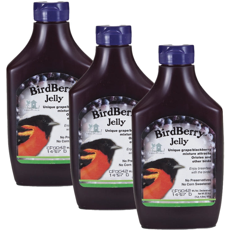 BirdBerry Jelly bottles, showcasing a convenient squeeze design, ideal for attracting fruit-eating birds with its natural grape and blackberry blend.