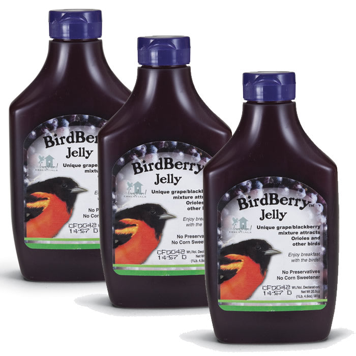 BirdBerry Jelly, Set of 3: Close-up of three squeeze bottles of grape and blackberry jelly, designed to attract fruit-eating birds.