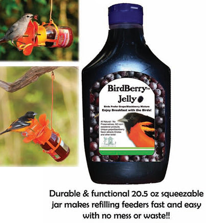 BirdBerry Jelly in a squeeze bottle with a bird label, designed for bird feeders, containing grape and blackberry jelly for attracting fruit-eating birds.