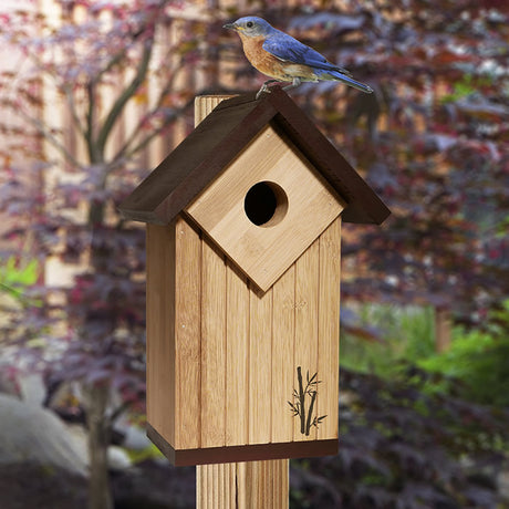 Ultimate Renewable® BAMBOO Contemporary Bluebird House with a bluebird perched on it, featuring a predator guard entrance, excellent ventilation, and an easy-open side panel for cleaning.