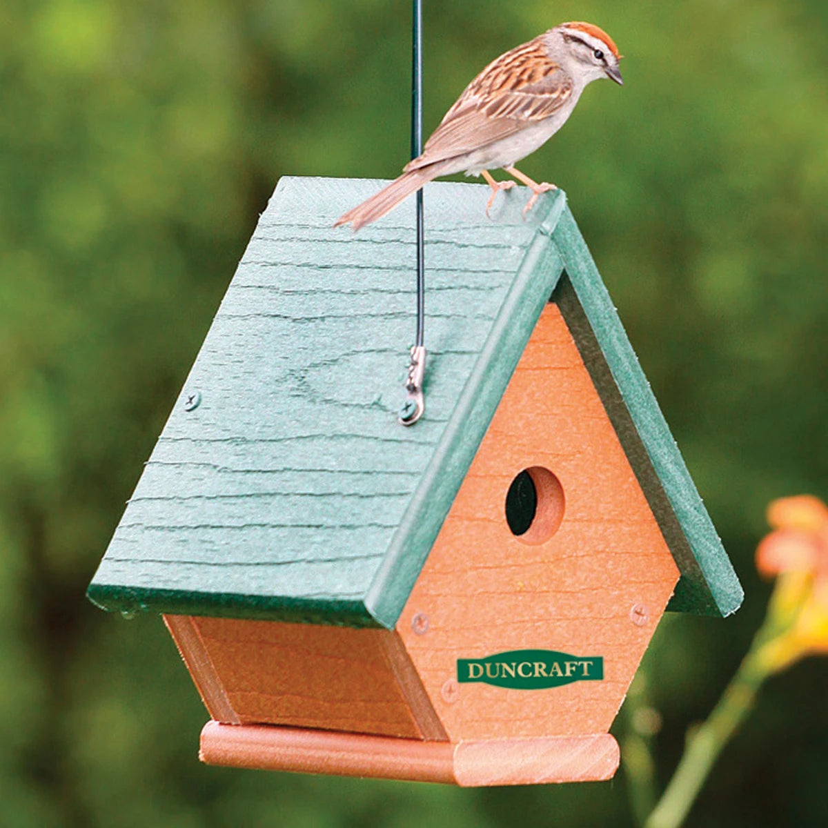 Duncraft Eco-Friendly Wren House with a sparrow perched on top, featuring a sturdy design, slanted sides, cable hanger, and easy cleanout side panel.