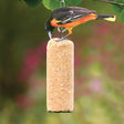 Peanut Log, Set of 3, displayed with a bird perched on a feeder, showcasing its appeal to various bird species for year-round feeding.