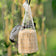 Attractor No Melt Peanut Butter Suet Bell, set of 3, hanging outdoors in a mesh bag with a small gray songbird feeding on the suet.