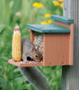 Squirrel eating corn from the Recycled Squirrel Munch Box bird feeder, designed to hold an ear of corn and wildlife treats.