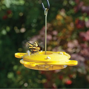 Butterfly Feeder with yellow cover, central ant moat, and 4 built-in fruit trays, attracting butterflies with nectar and fruit slices.