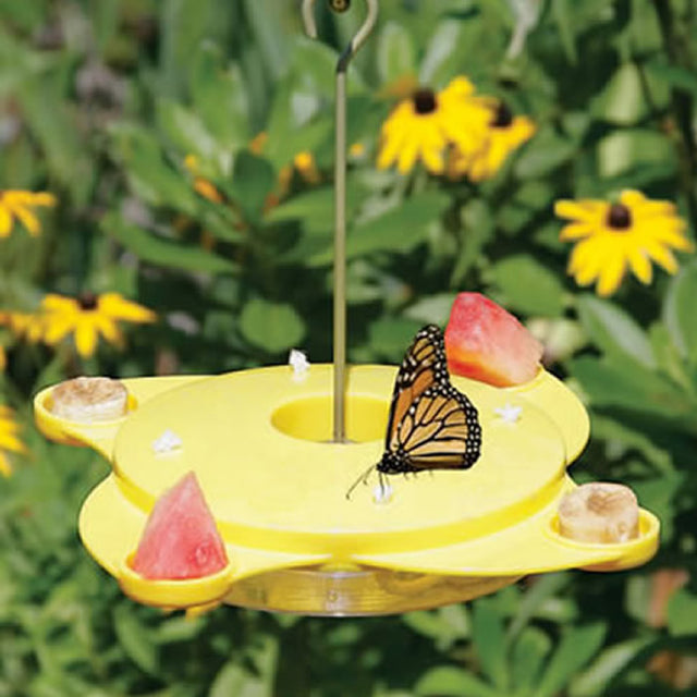 Butterfly Feeder with yellow cover, featuring multiple feeding stations, nectar openings, fruit trays, and an ant moat. Includes hanging hook and clear plastic basin.