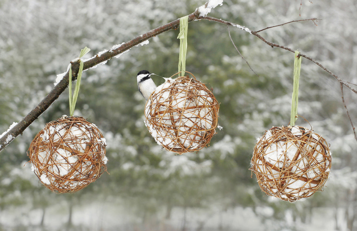 Grapevine Globes, set of 3, filled with natural cotton nesting material, ideal for attracting birds and keeping them warm. Bird perched on a twig globe.