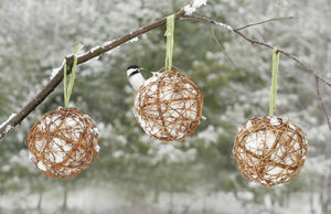 Grapevine Globes, set of 3, filled with natural cotton nesting material, ideal for attracting birds and keeping them warm. Bird perched on a twig globe.