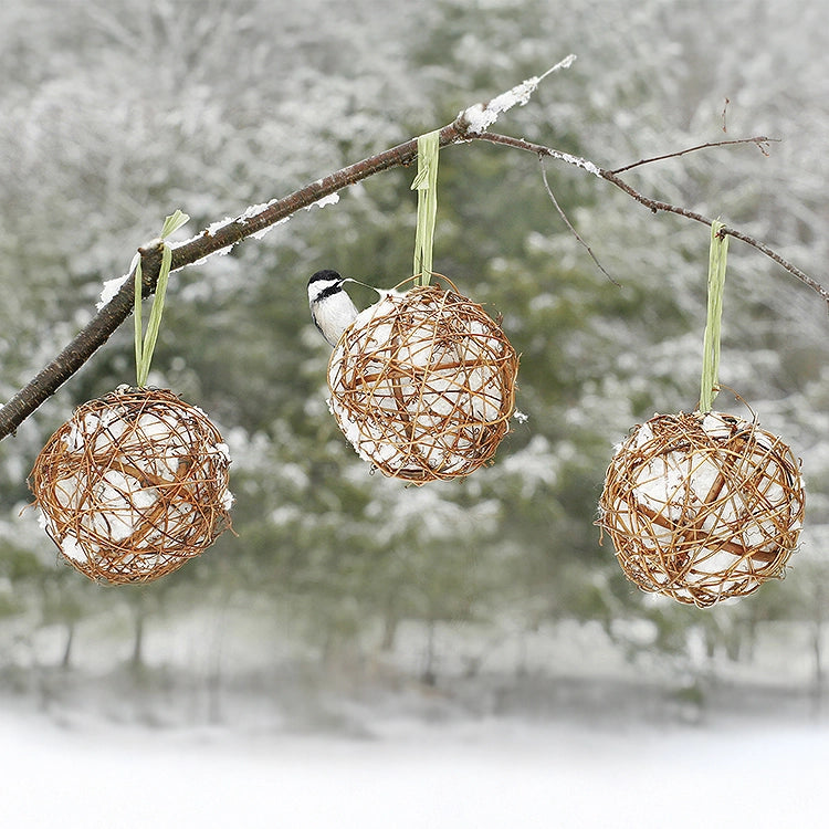 Grapevine Globes, Set of 3