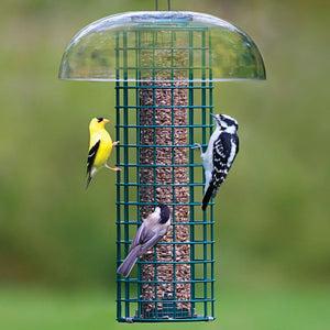 Duncraft Squirrel Blocker with Guard, featuring birds feeding from a wire mesh feeder with an outer grid and a clear plastic weather guard.