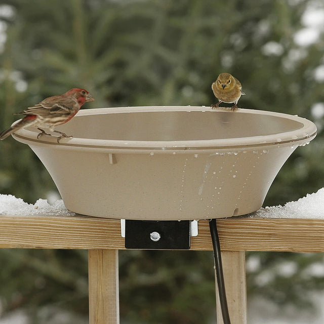 14 Heated Bird Bath with EZ-Tilt Deck and Pole Mount, featuring birds perched on the textured surface of the thermostatically controlled, weather-resistant plastic basin.