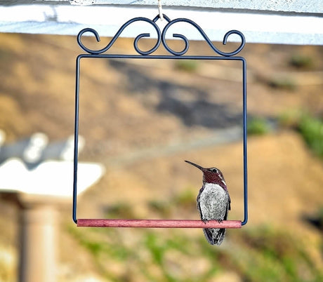 Pop's Hummingbird Swing: Hummingbird perched on a metal swing with wooden dowel, designed for birds to rest and watch over their food source.