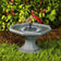 Newton Bird Bath featuring a short pedestal, solar fountain, 17-inch diameter, perfect for small spaces. Birds perched and enjoying the water. 