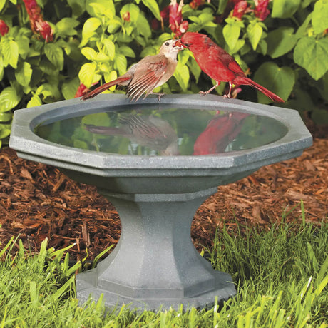 Newton Bird Bath featuring a short pedestal, textured basin, and 17-inch diameter, perfect for small spaces. Birds perched and enjoying the water.