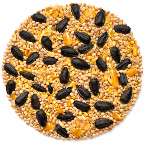 Duncraft Backyard Basics Wild Bird Seed, 5-lb bag featuring black oil sunflower seeds, cracked corn, and millet to attract buntings, chickadees, and more.