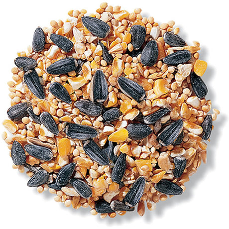 Backyard Basics Wild Bird Seed, 5-lb bag, featuring a mix of white millet, black oil sunflower seeds, and cracked corn in a pile.