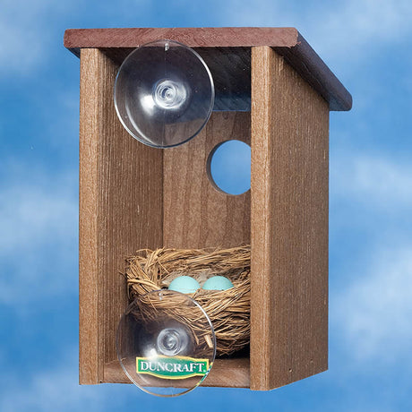 Eco-Strong Window View House: a birdhouse with a nest, eggs, and see-through panel, mounted via suction cups for easy viewing and cleaning.