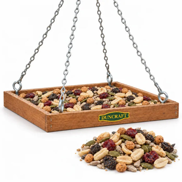 Duncraft Eco-Strong Platform Bird Feeder filled with Woodpecker Blend, with a pile of the blend beside it on a white background.