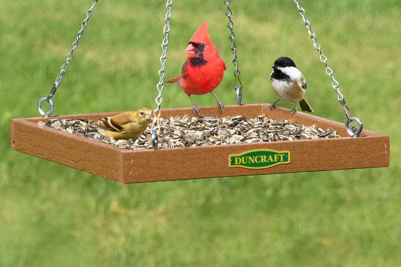 Duncraft Platform Bird Feeder