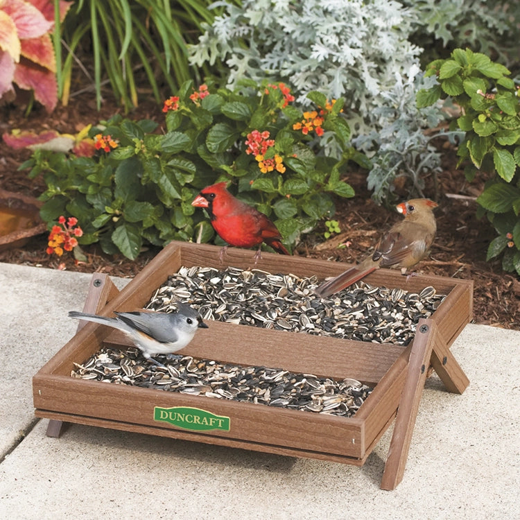 Duncraft Eco-Strong Ground Platform Feeder with metal mesh tray holds seeds for ground-feeding birds, featuring raised design for drainage and easy cleaning.